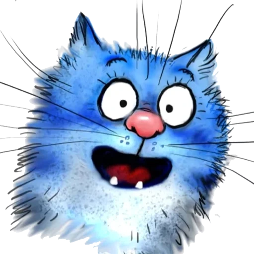 gatto blu, gatto blu tg, gatto blu di irina, gatto blu di rina zenyuk, gatto blu di irina zenuk