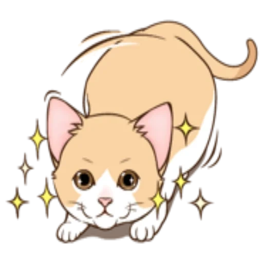 cats, cat, animaux, cat yepper, petit animal chibi