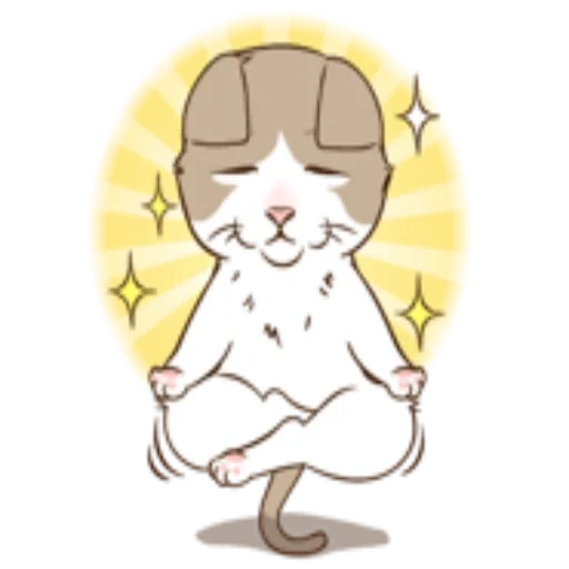 gato, gato, o gato está meditando, miss rabbit, desenhos de anime são fofos