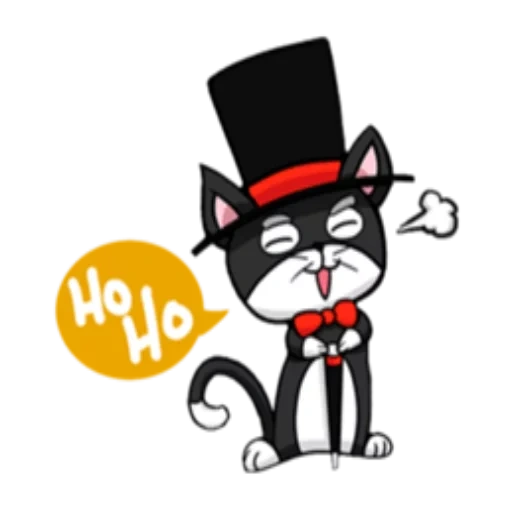 gato, tuxedo cat, gato de borda