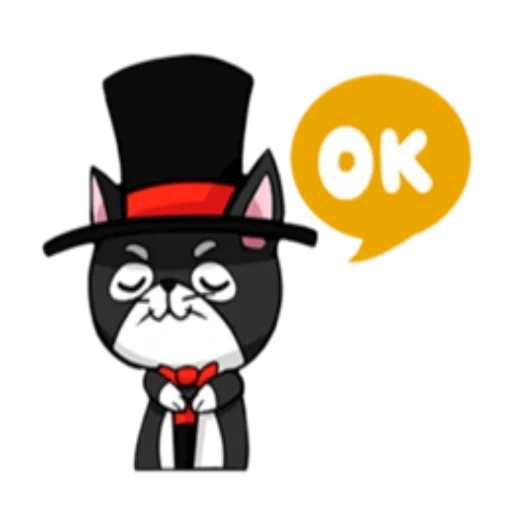 cat, funny, people, tuxedo cat