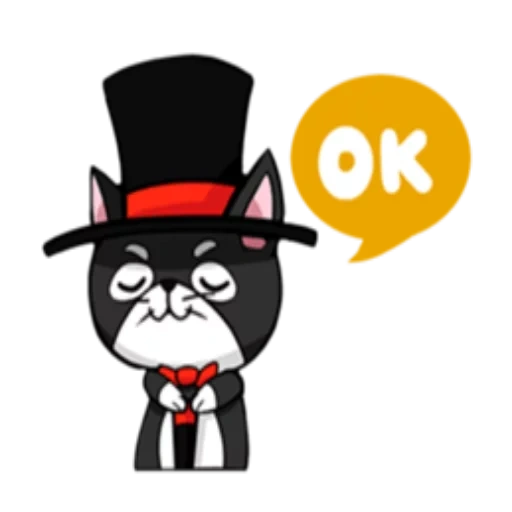 gato, engraçado, pessoas, tuxedo cat