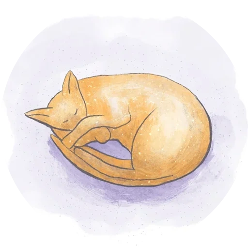 parker, sensitive, krueger mikhail, sleeping cat