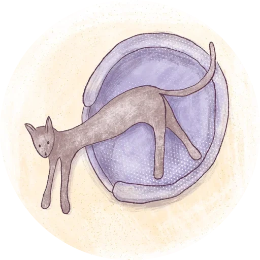 circulo, imagen, círculo de gato, círculo de gatito