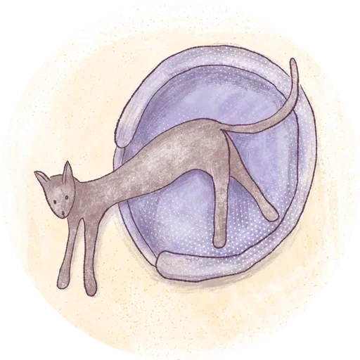 cercle, image, cercle de chat, cercle de minou