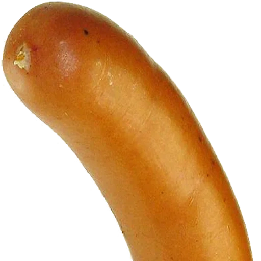 sausage, sausage, sausage with white background, sausage with white background, one sausage with white background