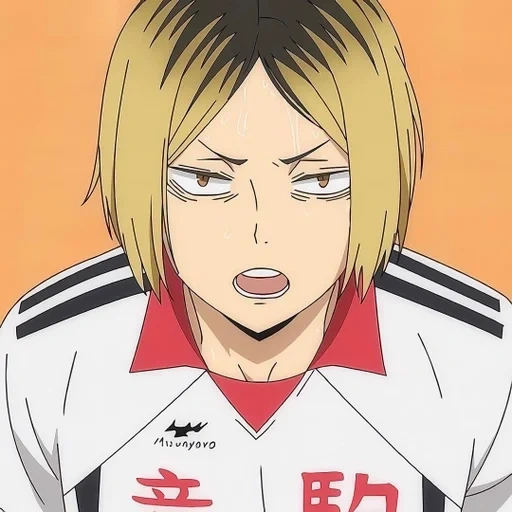 kenma, lion de kenma, kenma kozume, kenma kozume volleyball, anime personnage volleyball