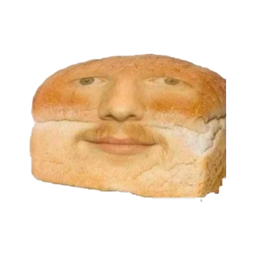 bread, dank memes, pain de sankoh, sarnia burgin, pain de sankoh