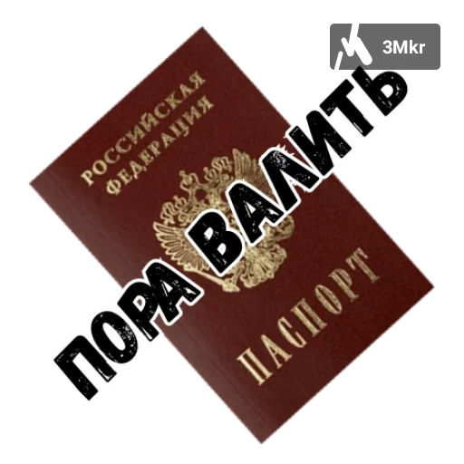 the passport, e cross, loss of passport, international passport, citizenship passport