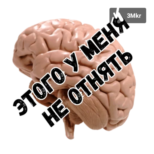 brain, e cross, brain, human brain, human brain