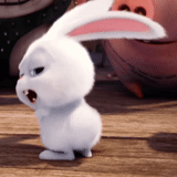 angry rabbit, rabbit snowball, the secret life of pets hare, little life of pets rabbit, last life of pets rabbit snowball