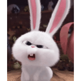 hase, wütendes kaninchen, kaninchen schneeball, das kaninchen ist lustig, kleines leben von haustieren kaninchen