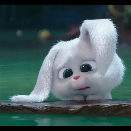 cartoni animati, vita segreta, snowball di coniglio, un coniglietto triste, cartone animato sul coniglietto