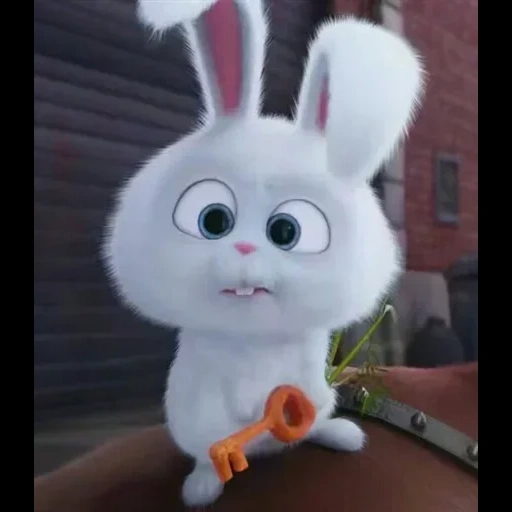 bola de nieve de conejo, conejo de dibujos animados, cartoon rabbit secret life, pequeña vida de mascotas conejito, pequeña vida de mascotas conejo