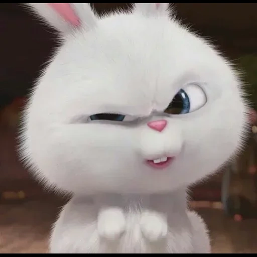 bola de nieve de conejo, vida secreta del conejo, secret life home rabbit snowball, pequeña vida de mascotas conejo, última vida de mascotas conejo de nieve de conejo