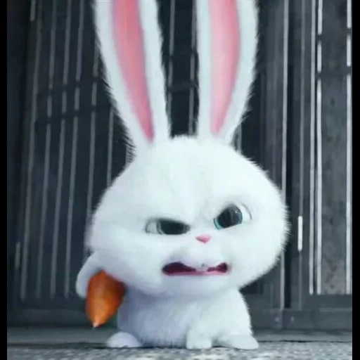 rabbit arrabbiato, snowball di coniglio, coniglio malvagio, secret life home rabbit snowball, vita segreta degli animali domestici 1 rabbit