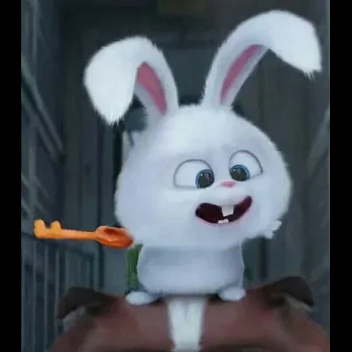 snowball di coniglio, snowball secret life, la vita segreta degli animali domestici hare, little life of pets rabbit, vita segreta degli animali domestici hare snowball