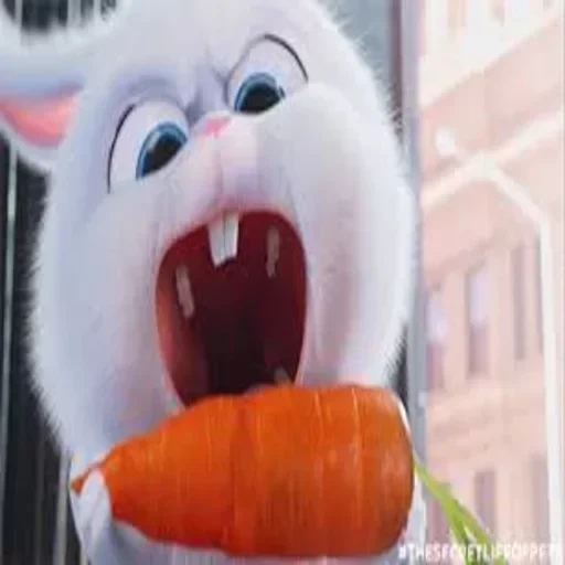 no, bola de nieve de conejo, hare secret life of pets, pequeña vida de mascotas conejo, bola de nieve la última vida de las mascotas