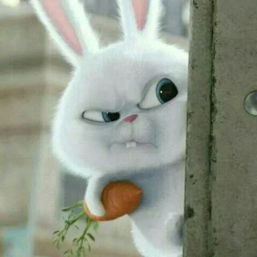 conejito malvado, conejo enojado, bola de nieve de conejo, conejo malvado, liebre malvada con zanahorias
