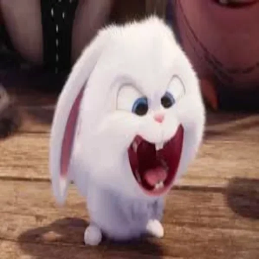 evil boy, the rabbit is angry, the secret life of pet rabbit, the secret life of pets snowball, the secret life of pet rabbits is evil