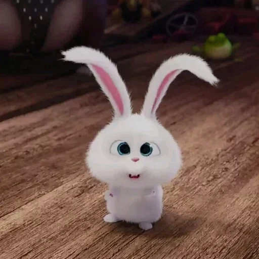 cartoon bunny secret life, haustiere leben rabbit, kleines leben von haustieren hasen, kleines leben von haustieren kaninchen