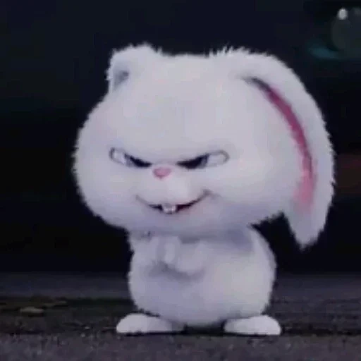 meme rabbit, evil furry, rabbit snowball, stationmaster, the secret life of pets