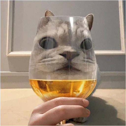cat, seal, cats, wine-glass cat, cat cup
