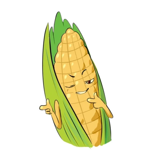 maïs, maïs