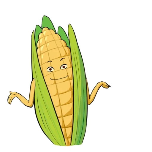 corn, corn