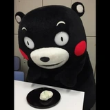 Kumamon Collection Premium!
(@NekoHayashi)