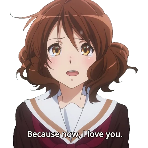 kumiko omae, kumiko omay, anime d'euphonium, personnages d'anime, hibike euphonium kumiko