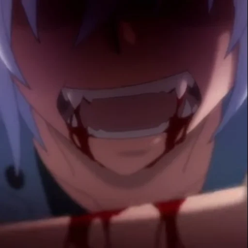 anime, serviteur vampire, vampire serviteur kuro, kuro selwamp canin, anime du sourire du diable