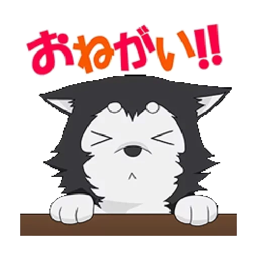 tetsuya 2, kuroko no basket, sunspot basketball, anime spring cat