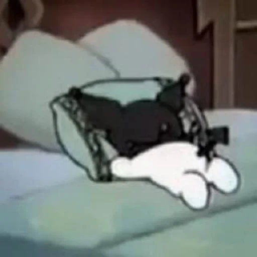 der kater, tom jerry, tom jerry schläft, anime katze schläft, geboren um sie zu verärgern