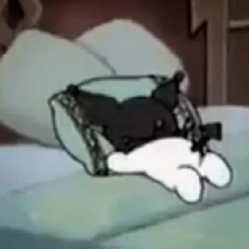 gato, tom jerry, tom jerry está dormindo, gato de anime dorme, nascido para te deixar com raiva