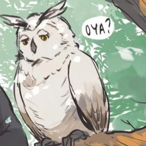 owl, owl art, owl owl, owl is is 6, owl bird