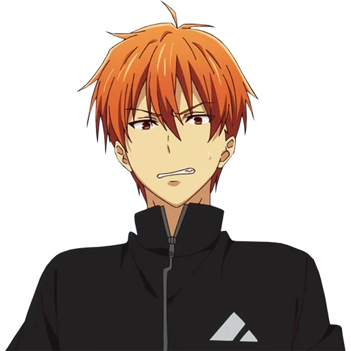 anime, ragazzi anime, kyo sohma fox, personaggi anime, kyo soma kyou suma