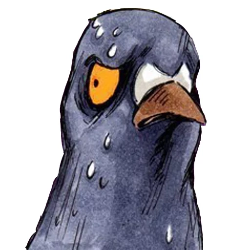 pigeon, gennady pigeon, goro pigeon gennady