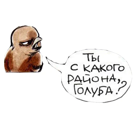 taube, taube gennady, koro pigeon gennady, taube gennady comic