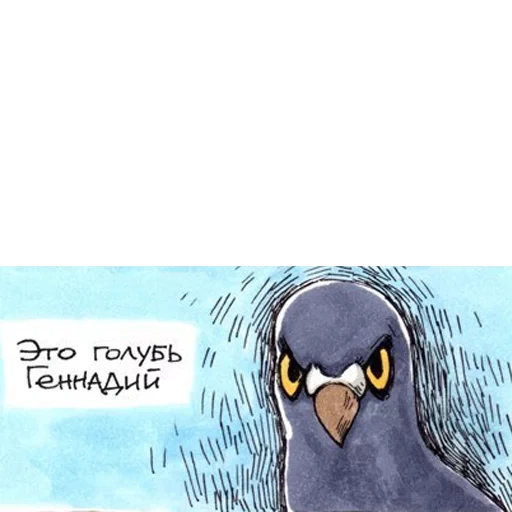 pigeon, pigeon de gennady, caricature de gennady pigeon