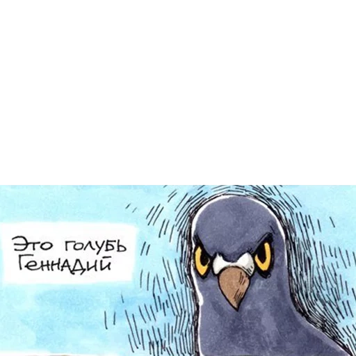 pigeon, gennady pigeon, pigeon gennady cartoon