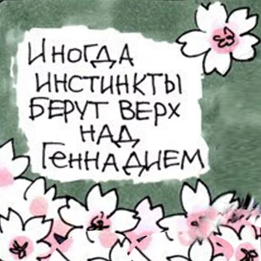 голубь, цитаты смешные, голубь геннадий, книга 50 причин собустыо