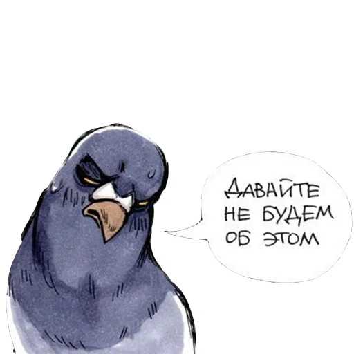 merpati, dove gennady, komik pigeon gennady