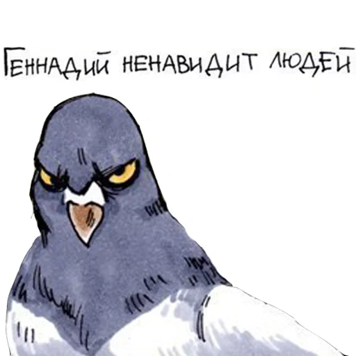 pigeon, gennady pigeon, pigeon gennady art