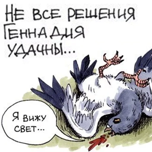 peace dove, gennady pigeon, pigeon arkadi cartoon, gennady's greedy pigeons, cartoons about gennady the pigeon