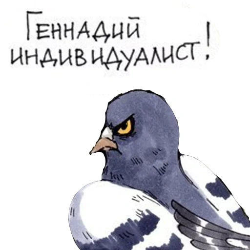 pigeon de gennady, caricature de gennady pigeon, genna pigeon goro saison volume 2, pigeon genna season version complète