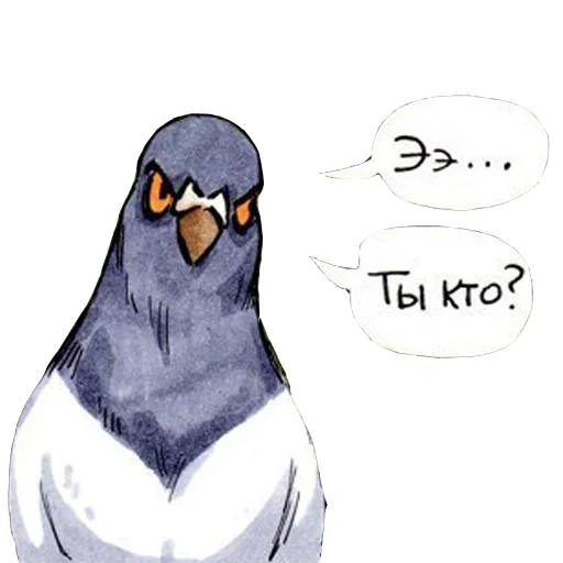 pigeon, gennady pigeon, pigeon gennady cartoon