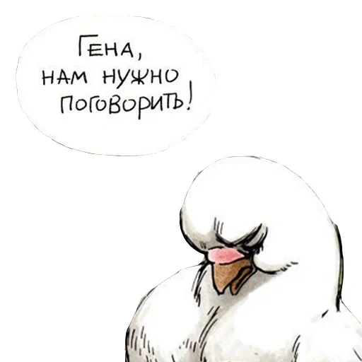 pigeon, pigeon de gennady, gennady goro, pigeon bleu petit, comic pigeon gennady