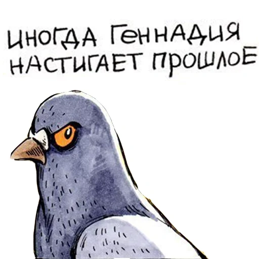 gennady pigeon, blue pigeon is small, pigeon gennady cartoon, pigeon gennady full version