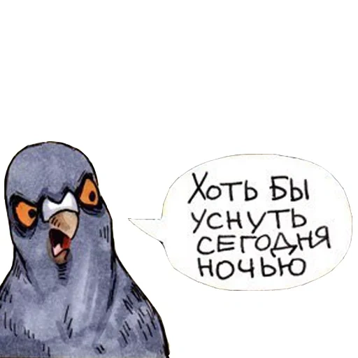 merpati, dove gennady, comic pigeon gennady